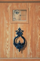 Festett ajtó (részlet)